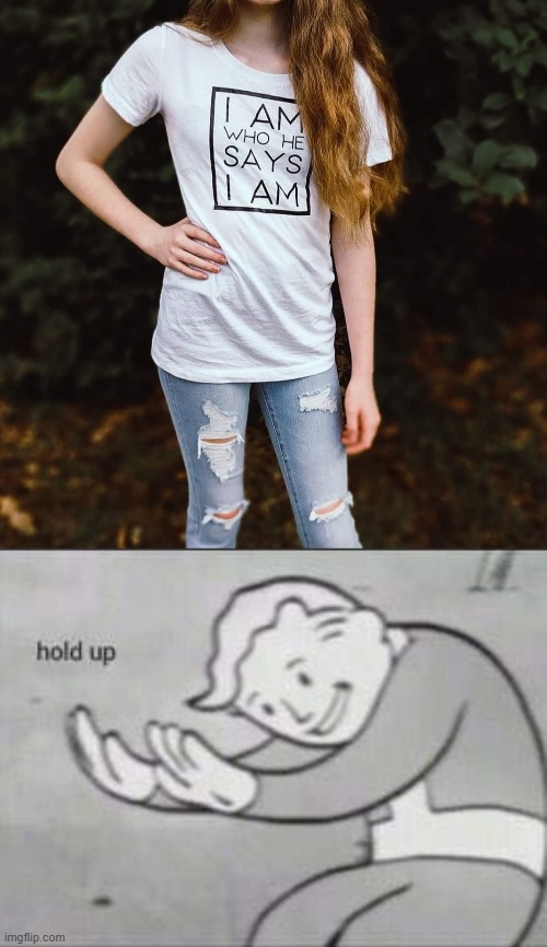 ummmm ok if u see a girl wearing this t-shirt u might wanna stop and ask some questions anyway | image tagged in fallout hold up,uh oh,t-shirt,child abuse,hold up | made w/ Imgflip meme maker