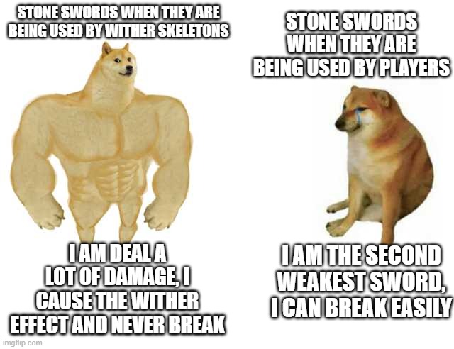 Seriously, WHY IS THIS!? | STONE SWORDS WHEN THEY ARE BEING USED BY PLAYERS; STONE SWORDS WHEN THEY ARE BEING USED BY WITHER SKELETONS; I AM DEAL A LOT OF DAMAGE, I CAUSE THE WITHER EFFECT AND NEVER BREAK; I AM THE SECOND WEAKEST SWORD, I CAN BREAK EASILY | image tagged in strong doge weak doge | made w/ Imgflip meme maker