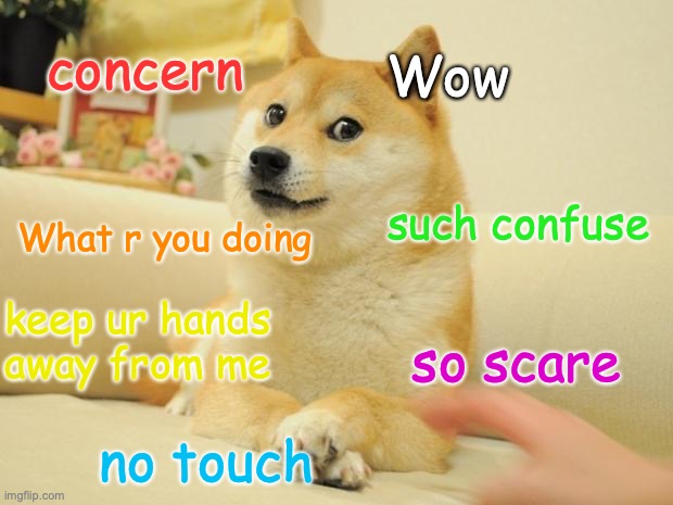 Concern | Wow; concern; What r you doing; such confuse; keep ur hands away from me; so scare; no touch | image tagged in memes,doge 2,what | made w/ Imgflip meme maker