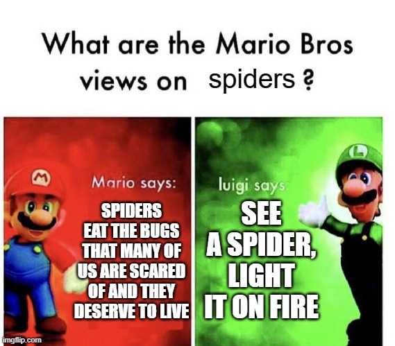 Mario Bros Views | spiders; SPIDERS EAT THE BUGS THAT MANY OF US ARE SCARED OF AND THEY DESERVE TO LIVE; SEE A SPIDER,
LIGHT IT ON FIRE | image tagged in mario bros views,spider,i hate spiders | made w/ Imgflip meme maker