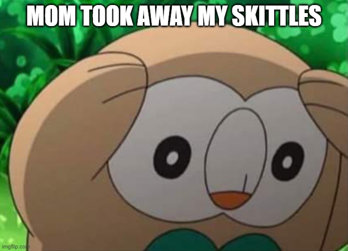 panicked rowlet | MOM TOOK AWAY MY SKITTLES | image tagged in panicked rowlet | made w/ Imgflip meme maker