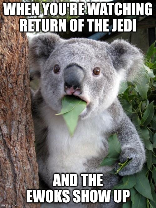 Surprised Koala Meme | WHEN YOU'RE WATCHING RETURN OF THE JEDI; AND THE EWOKS SHOW UP | image tagged in memes,surprised koala | made w/ Imgflip meme maker