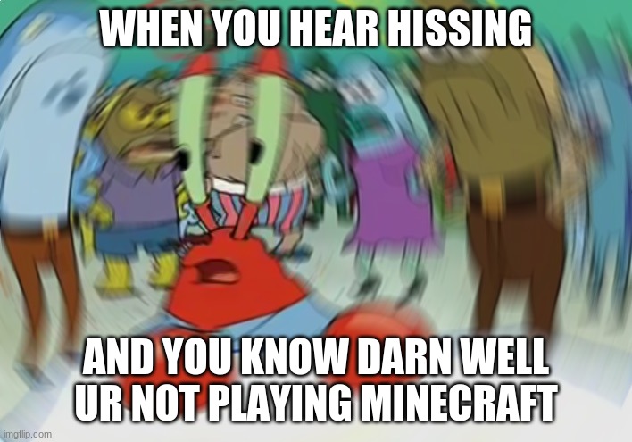 Mr Krabs Blur Meme Meme | WHEN YOU HEAR HISSING; AND YOU KNOW DARN WELL UR NOT PLAYING MINECRAFT | image tagged in memes,mr krabs blur meme | made w/ Imgflip meme maker