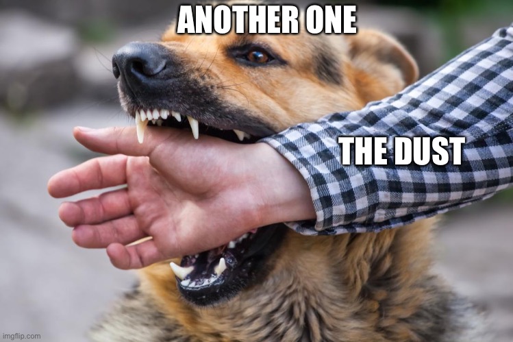 Another one bites the dust | ANOTHER ONE; THE DUST | image tagged in dust | made w/ Imgflip meme maker
