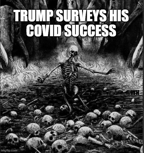 Trump Owns Covid | TRUMP SURVEYS HIS
COVID SUCCESS; @WH | image tagged in covid,coronavirus,trump | made w/ Imgflip meme maker