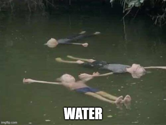 WATER | image tagged in water | made w/ Imgflip meme maker