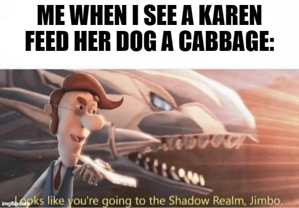 Looks like you going to the Shadow Realm Jimbo | ME WHEN I SEE A KAREN FEED HER DOG A CABBAGE: | image tagged in looks like you going to the shadow realm jimbo | made w/ Imgflip meme maker