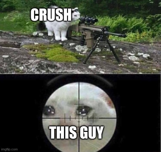 Sniper cat | CRUSH THIS GUY | image tagged in sniper cat | made w/ Imgflip meme maker