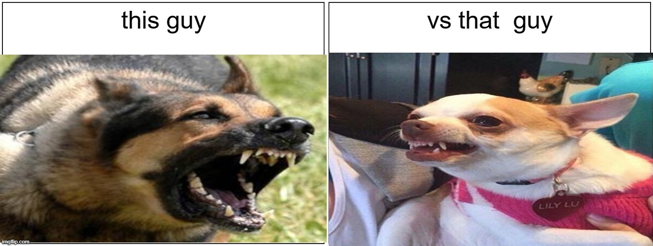German Shepard V.S. Chihuahua | this guy; vs that  guy | image tagged in memes,blank comic panel 2x1 | made w/ Imgflip meme maker