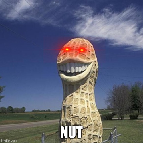 nut | NUT | image tagged in peanut | made w/ Imgflip meme maker