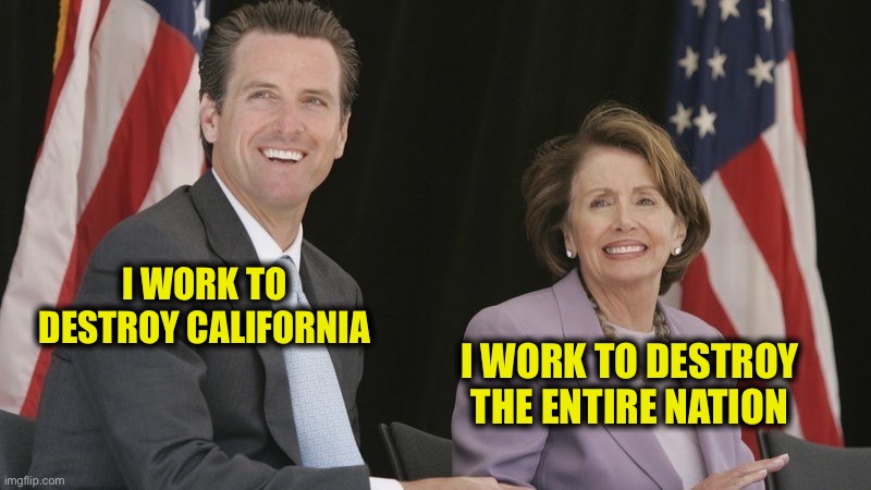 Tweedle-Dee and Tweedle-dum | I WORK TO DESTROY CALIFORNIA; I WORK TO DESTROY THE ENTIRE NATION | image tagged in nancy pelosi,gavin,california,united states,democrats,memes | made w/ Imgflip meme maker