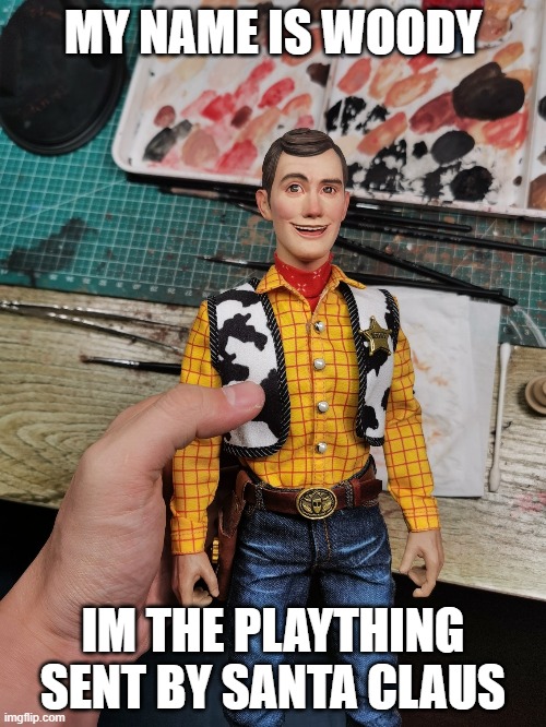 Suburb Become Pixar | MY NAME IS WOODY; IM THE PLAYTHING SENT BY SANTA CLAUS | image tagged in toy story,detroit become human | made w/ Imgflip meme maker