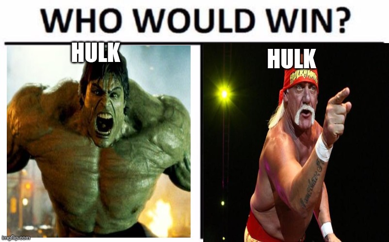 Who Would Win? Meme | HULK HULK | image tagged in memes,who would win | made w/ Imgflip meme maker
