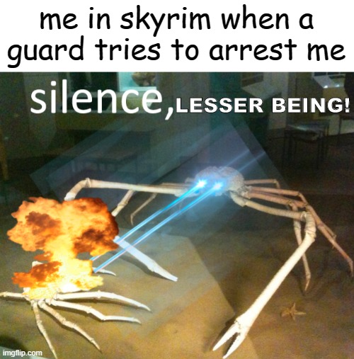 only true gamers will get this joke. | me in skyrim when a guard tries to arrest me; LESSER BEING! | image tagged in silence crab,skyrim,video games,memes | made w/ Imgflip meme maker
