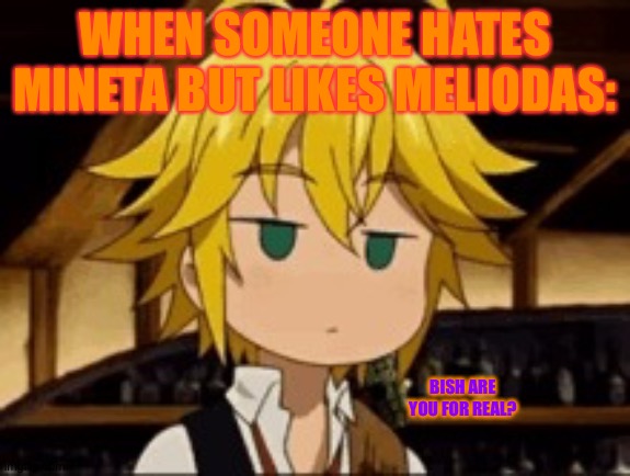 It's Ironic, that's what makes weebs funny! (Pardon my language) | WHEN SOMEONE HATES MINETA BUT LIKES MELIODAS:; BISH ARE YOU FOR REAL? | image tagged in seven deadly sins,mha,pervert,bitch,what,just a joke | made w/ Imgflip meme maker