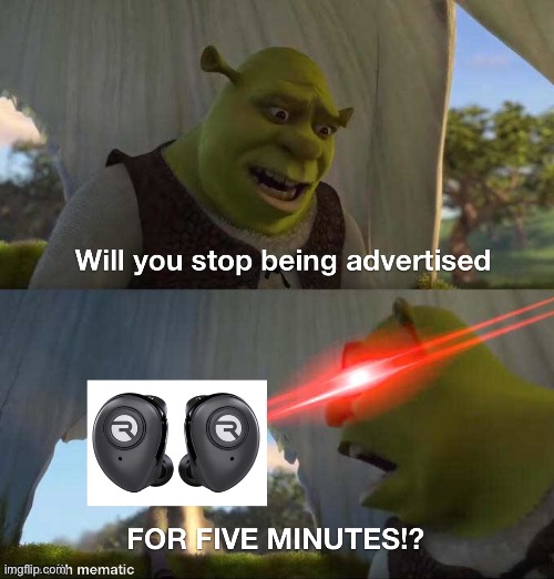 This meme is sponsored by... | image tagged in shrek,sponsor,raycon earbuds | made w/ Imgflip meme maker