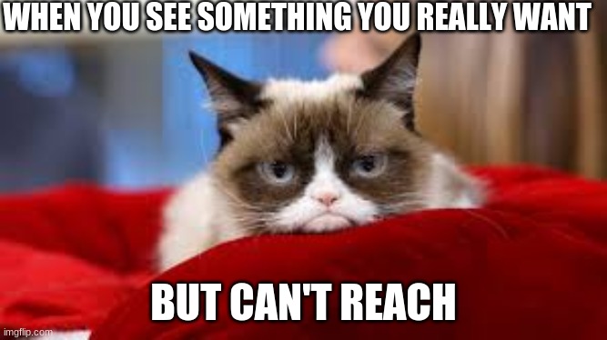 Grumpy Cat | WHEN YOU SEE SOMETHING YOU REALLY WANT; BUT CAN'T REACH | image tagged in grumpy cat | made w/ Imgflip meme maker