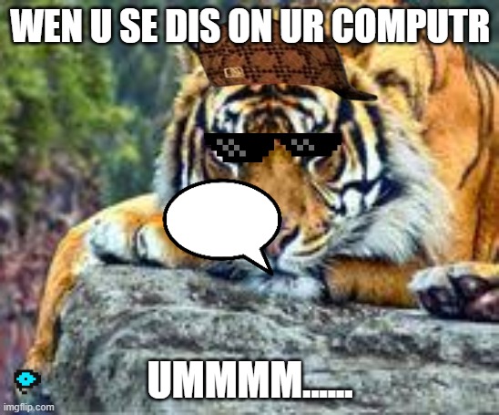 Epic MLG SWAG | WEN U SE DIS ON UR COMPUTR; UMMMM...... | image tagged in memes,funny,funny memes,animal meme | made w/ Imgflip meme maker