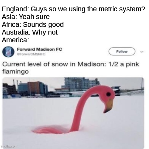 Measurement Menagerie | England: Guys so we using the metric system?
Asia: Yeah sure
Africa: Sounds good
Australia: Why not
America: | image tagged in hi there,metric,america,world,stuff | made w/ Imgflip meme maker