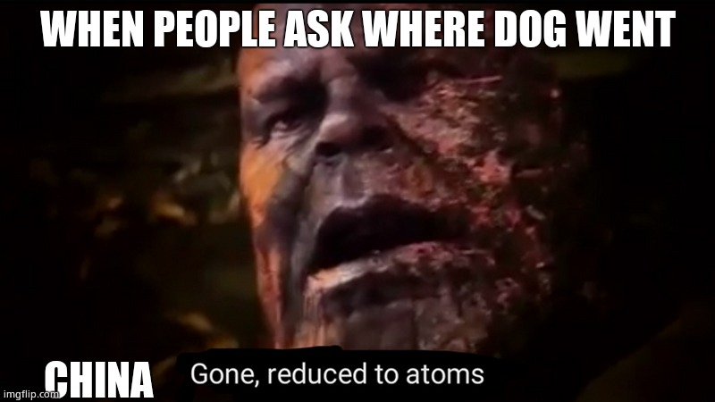Thanos gone, reduced to atoms | WHEN PEOPLE ASK WHERE DOG WENT; CHINA | image tagged in thanos gone reduced to atoms | made w/ Imgflip meme maker