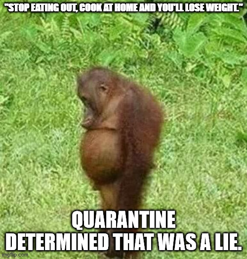 sad orangatan | "STOP EATING OUT, COOK AT HOME AND YOU'LL LOSE WEIGHT."; QUARANTINE DETERMINED THAT WAS A LIE. | image tagged in sad orangatan | made w/ Imgflip meme maker