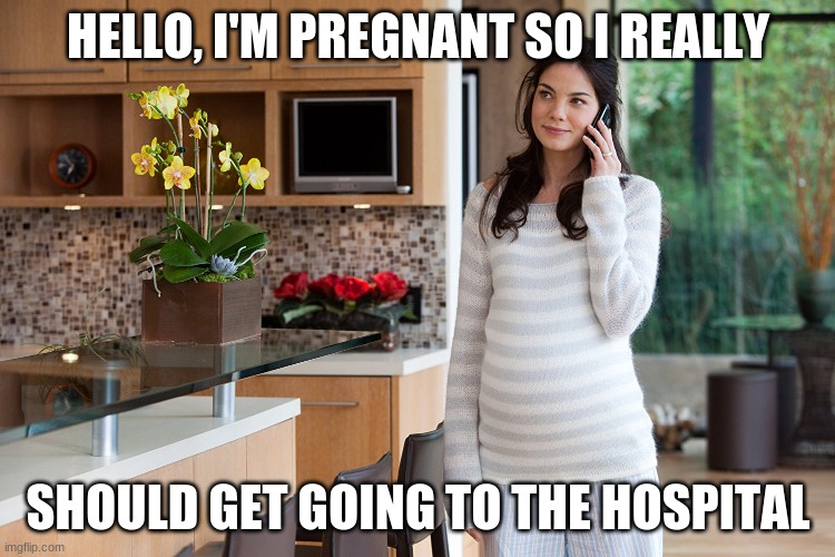 Michelle Monoghan Pregnant | HELLO, I'M PREGNANT SO I REALLY; SHOULD GET GOING TO THE HOSPITAL | image tagged in pregnant | made w/ Imgflip meme maker