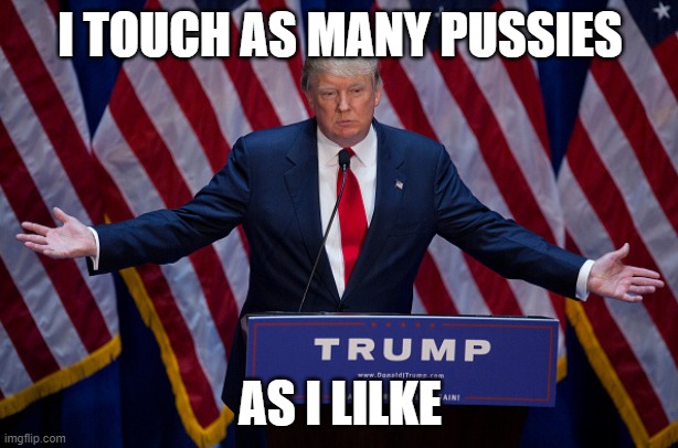 Donald Trump | I TOUCH AS MANY PUSSIES AS I LILKE | image tagged in donald trump | made w/ Imgflip meme maker