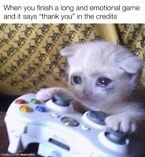 thank you for reading this meme | image tagged in sad,gaming cat,meme,thank you | made w/ Imgflip meme maker