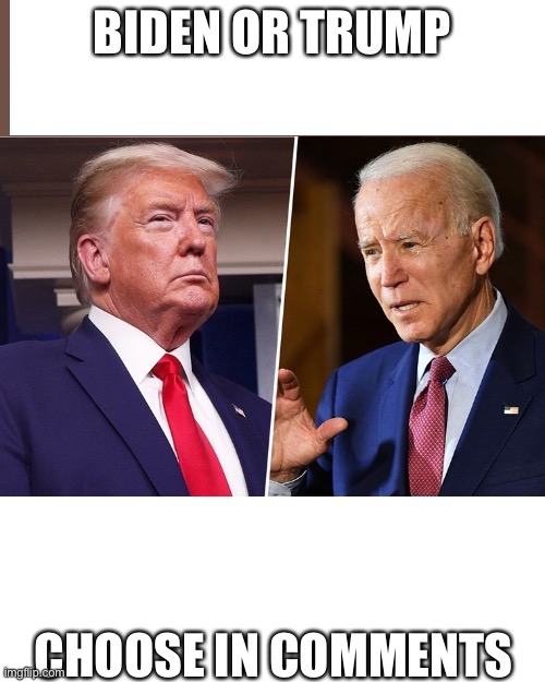 I vote for your choice | BIDEN OR TRUMP; CHOOSE IN COMMENTS | image tagged in liberal creeps conservative creeps | made w/ Imgflip meme maker