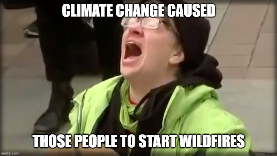 Trump SJW No | CLIMATE CHANGE CAUSED; THOSE PEOPLE TO START WILDFIRES | image tagged in trump sjw no | made w/ Imgflip meme maker