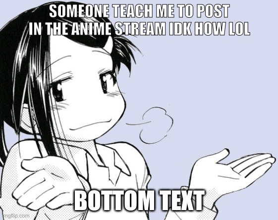 anime shrug | SOMEONE TEACH ME TO POST IN THE ANIME STREAM IDK HOW LOL; BOTTOM TEXT | image tagged in anime shrug | made w/ Imgflip meme maker