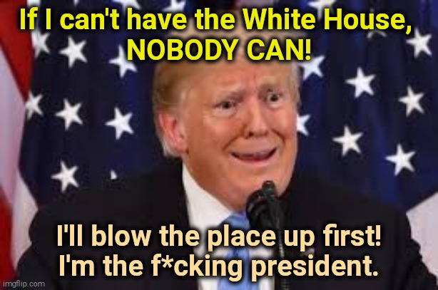 Nobody, do you hear me? NOBODY! | If I can't have the White House, 
NOBODY CAN! I'll blow the place up first!
I'm the f*cking president. | image tagged in trump fear tears dilated,trump,crazy,nuts,bananas | made w/ Imgflip meme maker