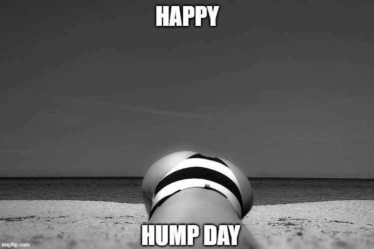 Happy Hump Day | HAPPY; HUMP DAY | image tagged in hump day | made w/ Imgflip meme maker