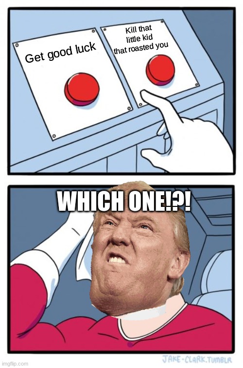 Two Great Buttons | Kill that little kid that roasted you; Get good luck; WHICH ONE!?! | image tagged in memes,two buttons | made w/ Imgflip meme maker