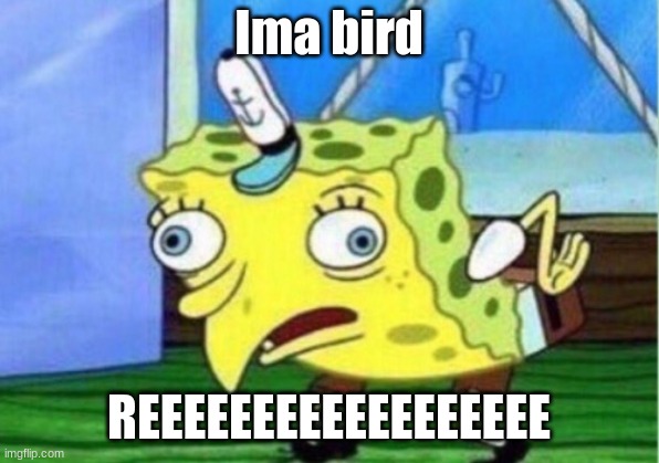 Mocking Spongebob | Ima bird; REEEEEEEEEEEEEEEEEE | image tagged in memes,mocking spongebob | made w/ Imgflip meme maker