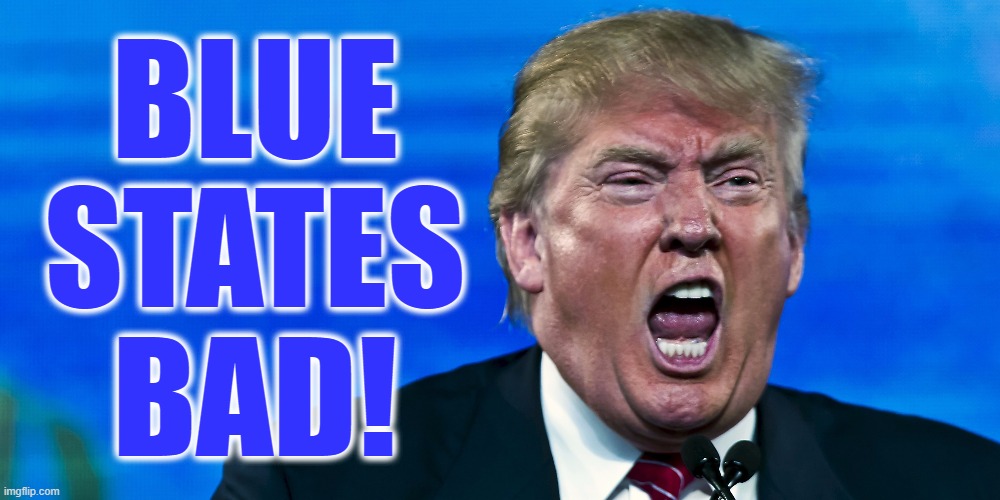 Today's Press Conference in 3 Words. | BLUE
STATES
BAD! | image tagged in donald trump,hate,traitor,liar,red vs blue,election | made w/ Imgflip meme maker