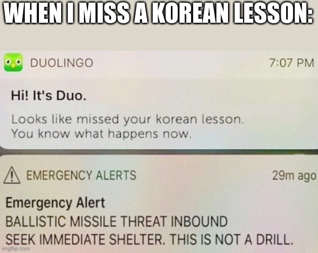 I haven’t missed one yet, but I’m gonna and Duo gonna kill me (yes, I know it’s fake) | WHEN I MISS A KOREAN LESSON: | image tagged in duolingo | made w/ Imgflip meme maker