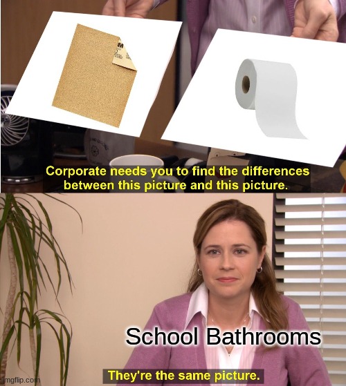 They're The Same Picture Meme |  School Bathrooms | image tagged in memes,they're the same picture,funny,gifs,not really a gif | made w/ Imgflip meme maker