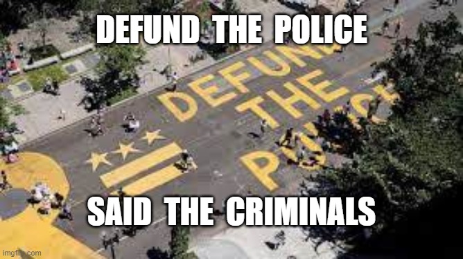DEFUND  THE  POLICE; SAID  THE  CRIMINALS | image tagged in defund the police,communism,democrats,liberals | made w/ Imgflip meme maker
