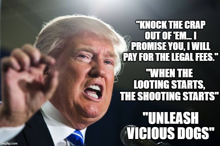 donald trump | "WHEN THE LOOTING STARTS, THE SHOOTING STARTS" "UNLEASH VICIOUS DOGS" "KNOCK THE CRAP OUT OF 'EM... I PROMISE YOU, I WILL PAY FOR THE LEGAL  | image tagged in donald trump | made w/ Imgflip meme maker