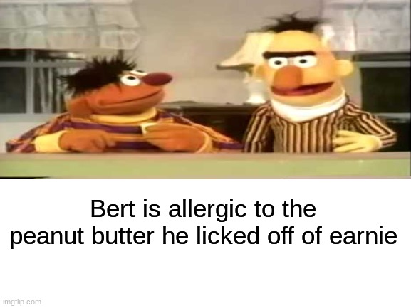 No bert | Bert is allergic to the peanut butter he licked off of earnie | image tagged in dark humor,oof,office,sesame street | made w/ Imgflip meme maker