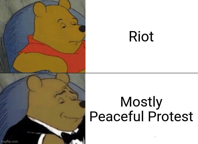 Mostly peaceful protest | Riot; Mostly Peaceful Protest | image tagged in memes,tuxedo winnie the pooh | made w/ Imgflip meme maker