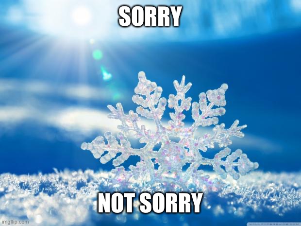 snowflake | SORRY NOT SORRY | image tagged in snowflake | made w/ Imgflip meme maker