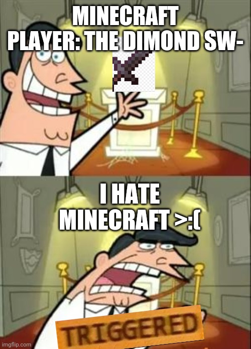 M I N E C R A F T | MINECRAFT PLAYER: THE DIMOND SW-; I HATE MINECRAFT >:( | image tagged in memes,this is where i'd put my trophy if i had one | made w/ Imgflip meme maker