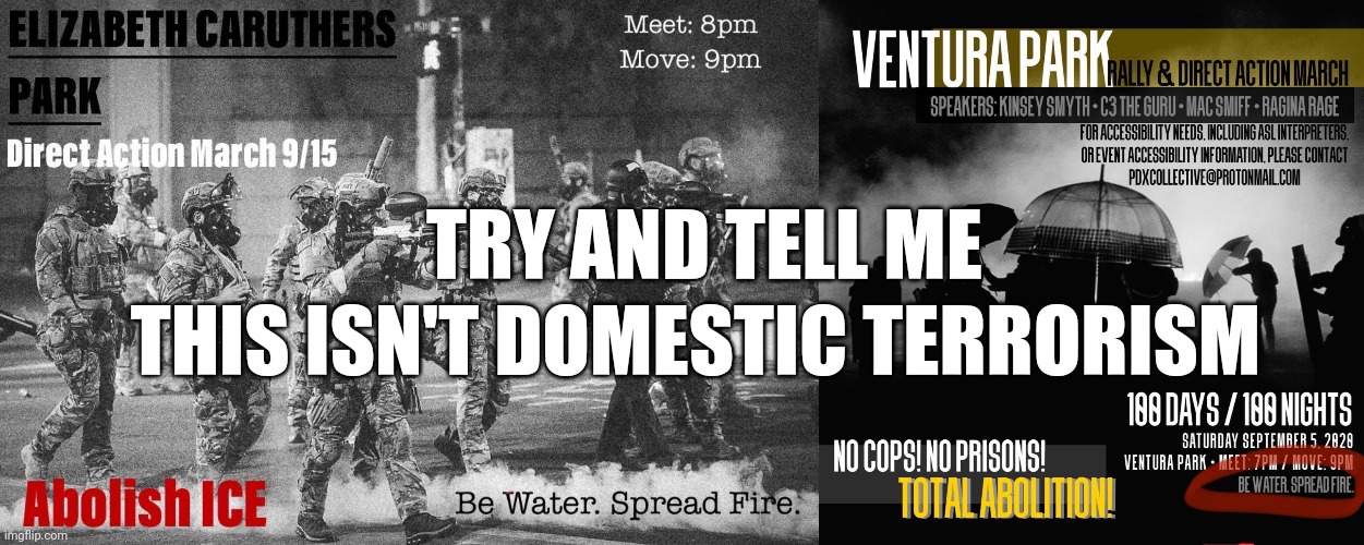 Be Water, Spread Fire | TRY AND TELL ME; THIS ISN'T DOMESTIC TERRORISM | image tagged in politics,2020,blm,antifa,riots,police | made w/ Imgflip meme maker