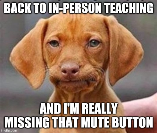 In Person Teaching | BACK TO IN-PERSON TEACHING; AND I'M REALLY MISSING THAT MUTE BUTTON | image tagged in frustrated dog | made w/ Imgflip meme maker