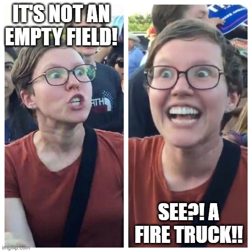 Biden didn't wave to an empty field! | IT'S NOT AN EMPTY FIELD! SEE?! A FIRE TRUCK!! | image tagged in triggered,biden,wave,empty field,fire truck,firefighter | made w/ Imgflip meme maker