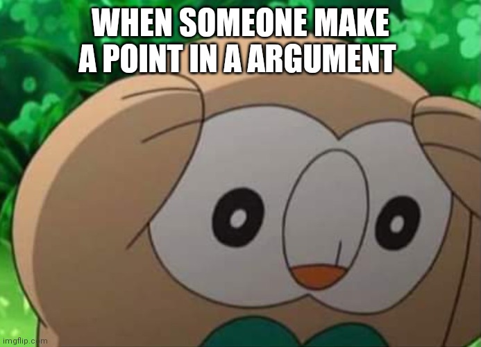 panicked rowlet | WHEN SOMEONE MAKE A POINT IN A ARGUMENT | image tagged in panicked rowlet | made w/ Imgflip meme maker