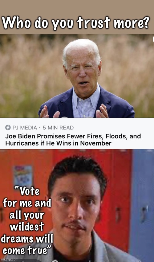 Pedro is more qualified than Biden | Who do you trust more? “Vote for me and all your wildest dreams will come true” | image tagged in joe exotic,political meme,vote for pedro | made w/ Imgflip meme maker