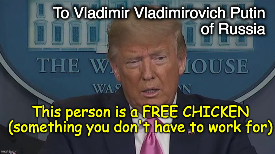 This should be a concern of all Americans | To Vladimir Vladimirovich Putin 
of Russia; This person is a FREE CHICKEN
(something you don't have to work for) | image tagged in if only you knew how bad things really are | made w/ Imgflip meme maker